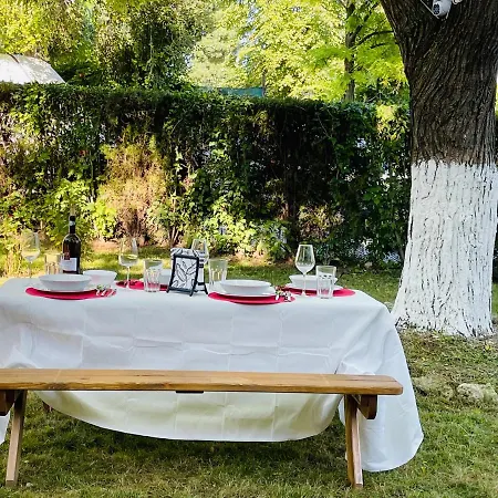 Villa Minerva Langa Plaja